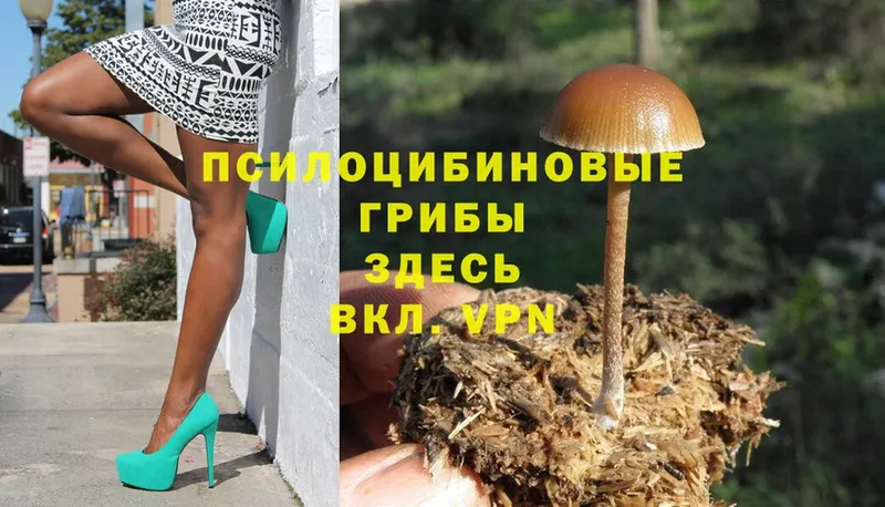 blacksprut рабочий сайт  Абинск  Галлюциногенные грибы MAGIC MUSHROOMS 